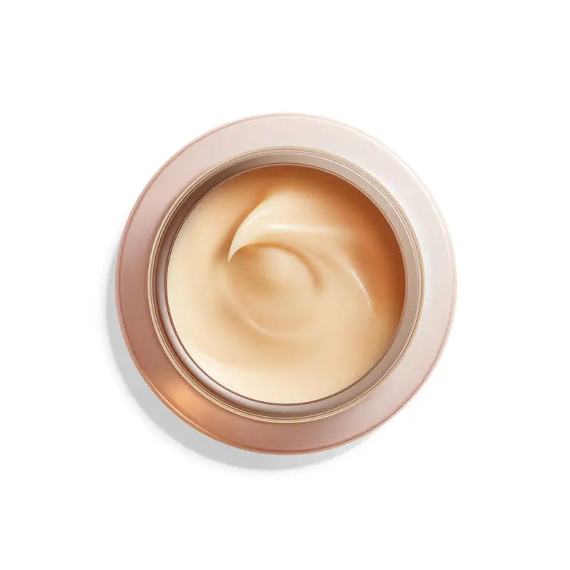 Overnight Wrinkle Resisting Cream Shiseido
