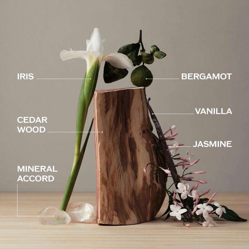 Zen Essence Eau de Parfum