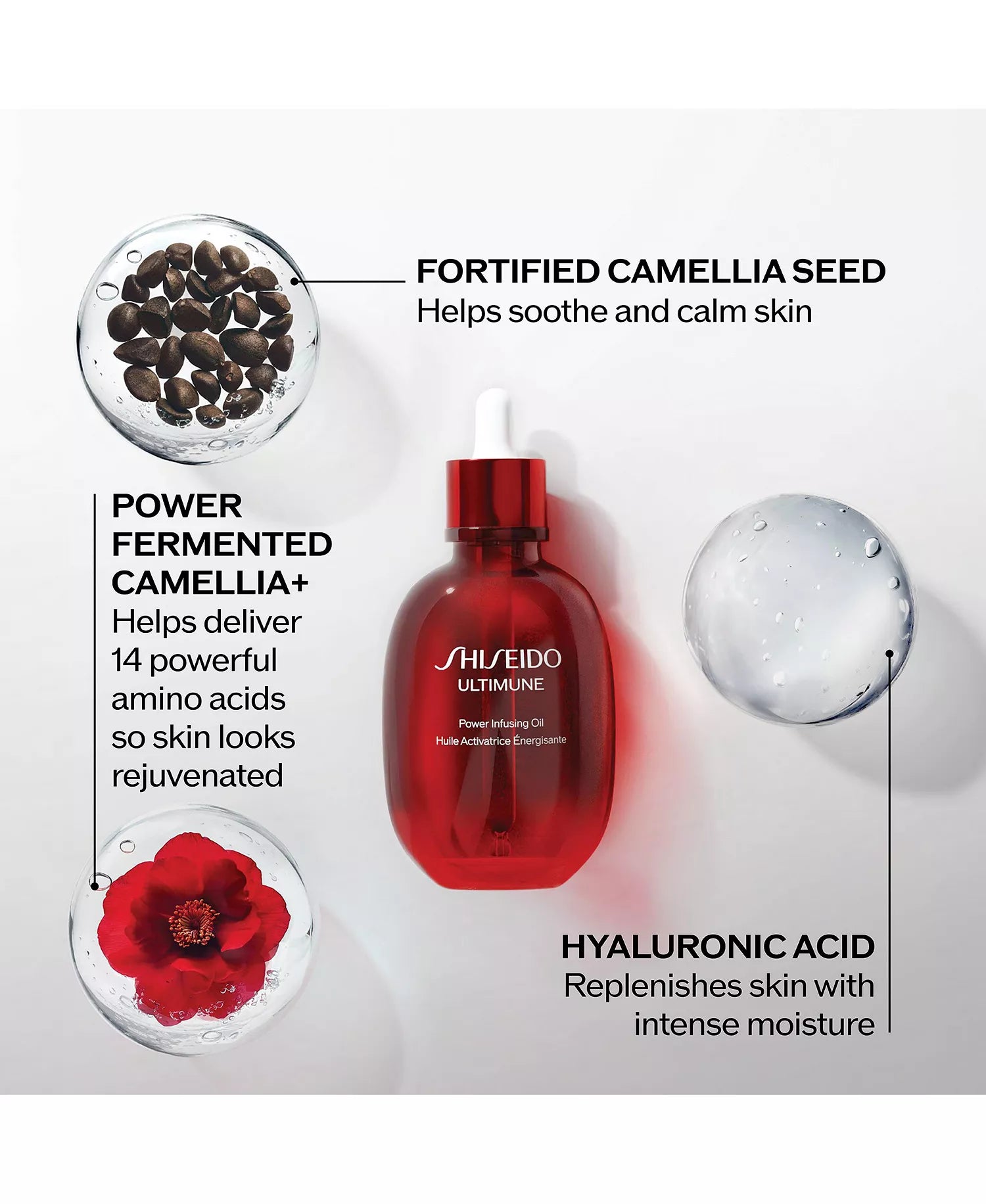 Shiseido Ultimune Power Infusing Oil with ingredients and benefits