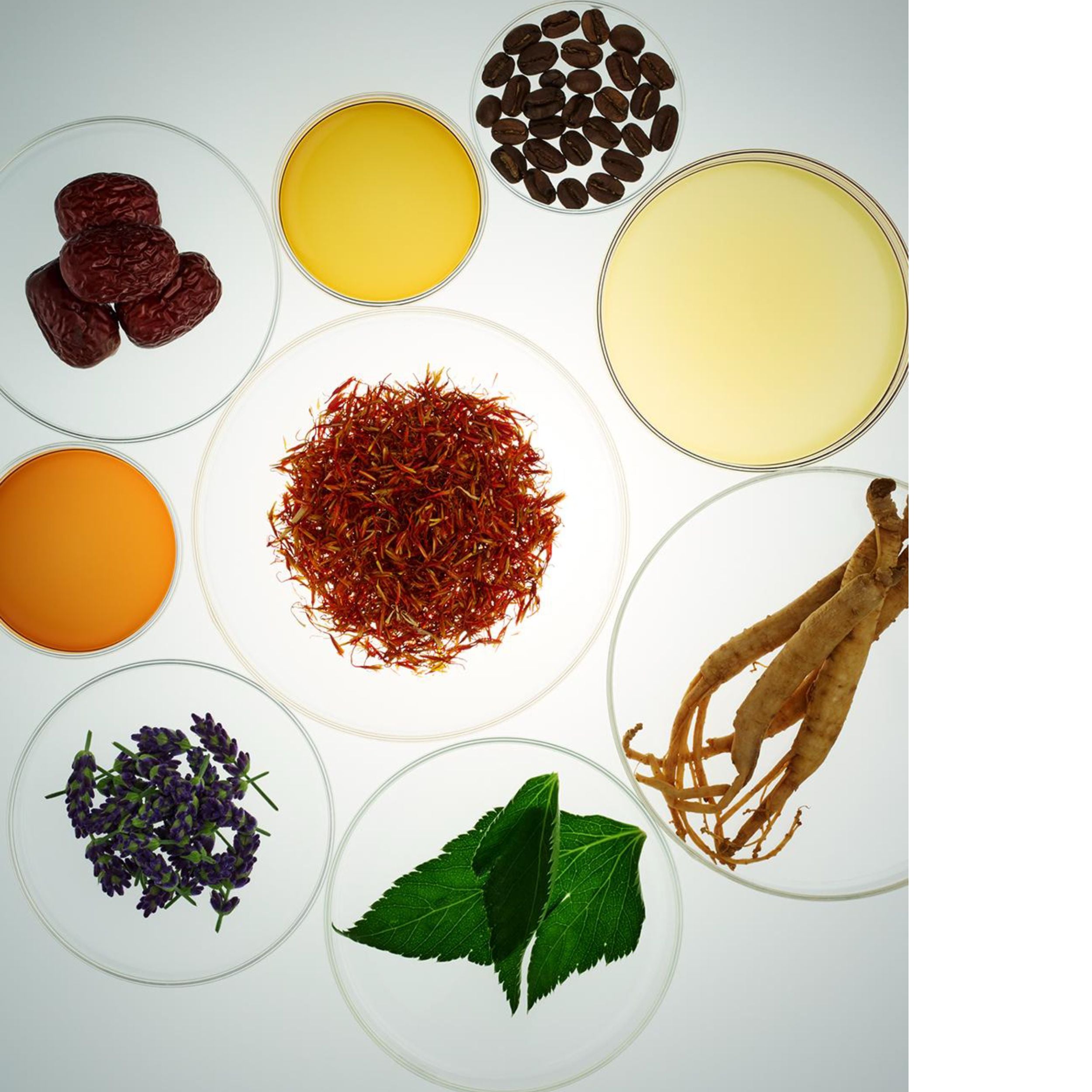 Vital Perfection Bright Revitalizing Emulsion Enriched